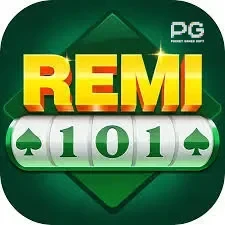remi101